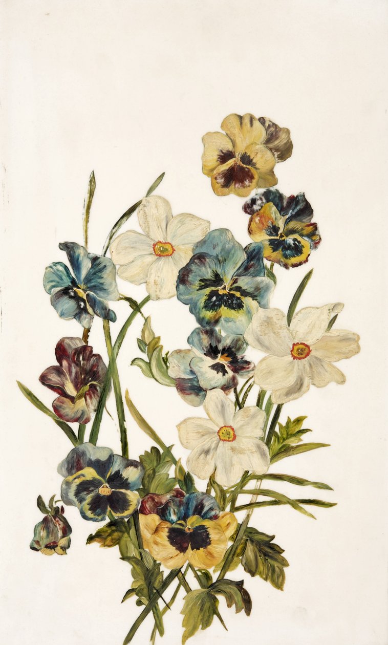 Stilleben, stedmoderblomster og narcisser af Unbekannt Unbekannt