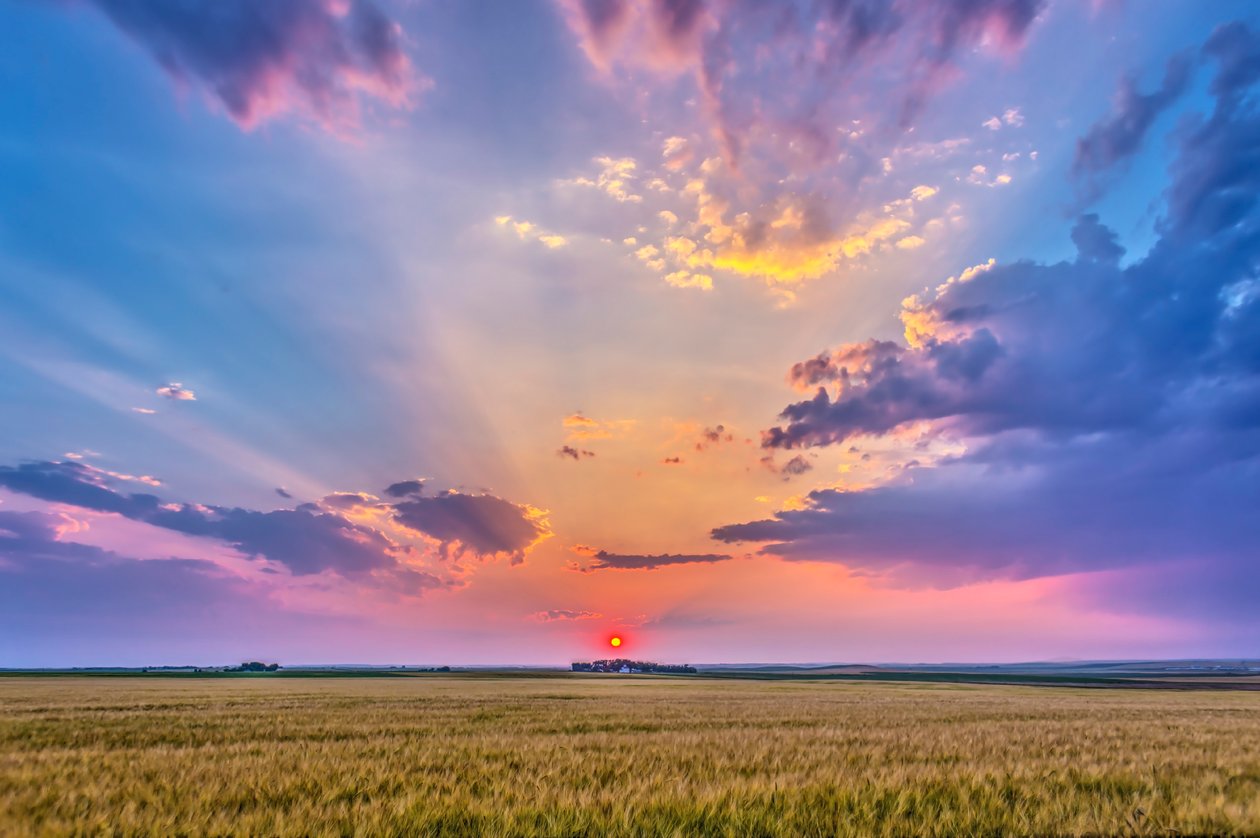 Den røde solnedgang i dis, der kaster skygger hen over himlen? crepuskulære stråler - og belysning af skyerne over en modnende hvedemark nær hjemmet i Alberta, 6. august 2014 af Unbekannt Unbekannt