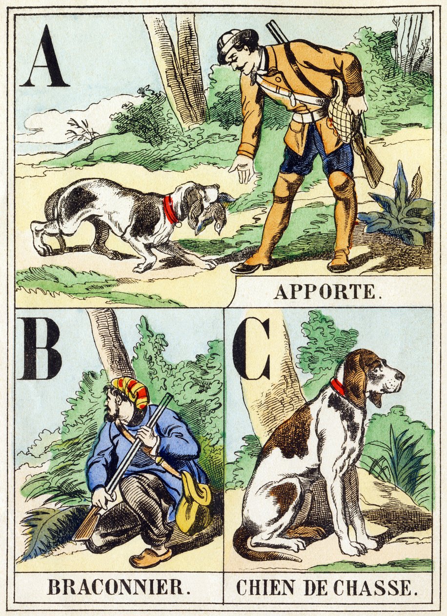 A B C: Bring, Krybskytte, Jagthund - Jagtalfabetet, ca. 1890 (gravering) af Unbekannt
