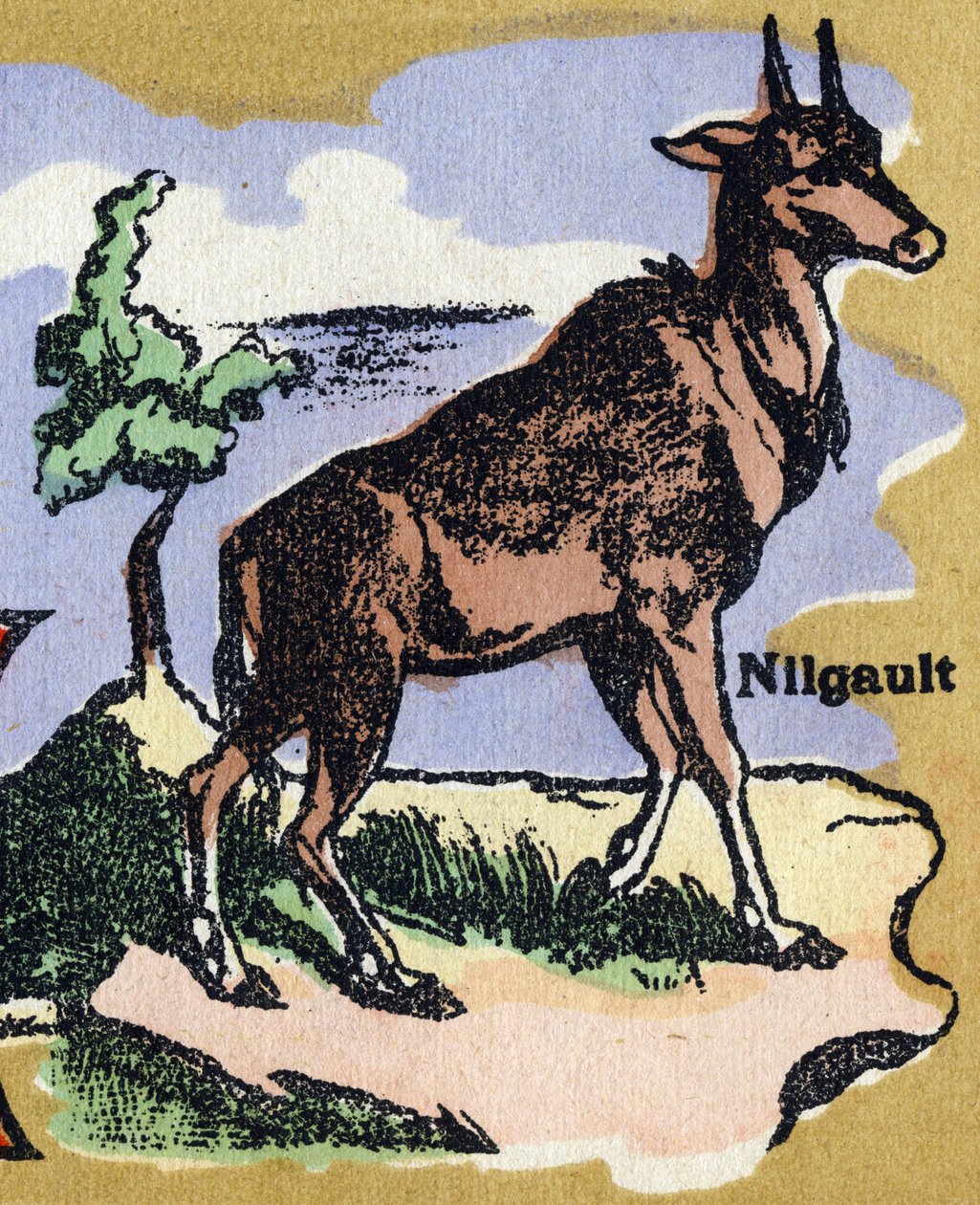En Nilgault. Illustreret alfabet. Billeder genforenet i Jarville-Nancy, begyndelsen af det 20. århundrede. Mål: 40 x 29 cm. Litografi på bistre baggrund af Unbekannt