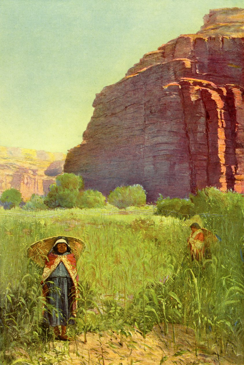 A Supai majsmark - Cataract Canyon af Unbekannter Künstler