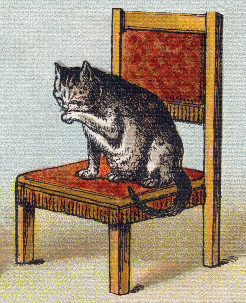 En kat på en stol. Indgravering i "Alphabet de ma petite fille". Bernardin-Bechet og Fils, boghandler-forlag, Paris, omkring 1895. Ubrydeligt album på lærred. Bibliotheque des Bebes. 12 sider. Album indeholdende en læsemetode og en illustrativ abeceda af Unbekannt