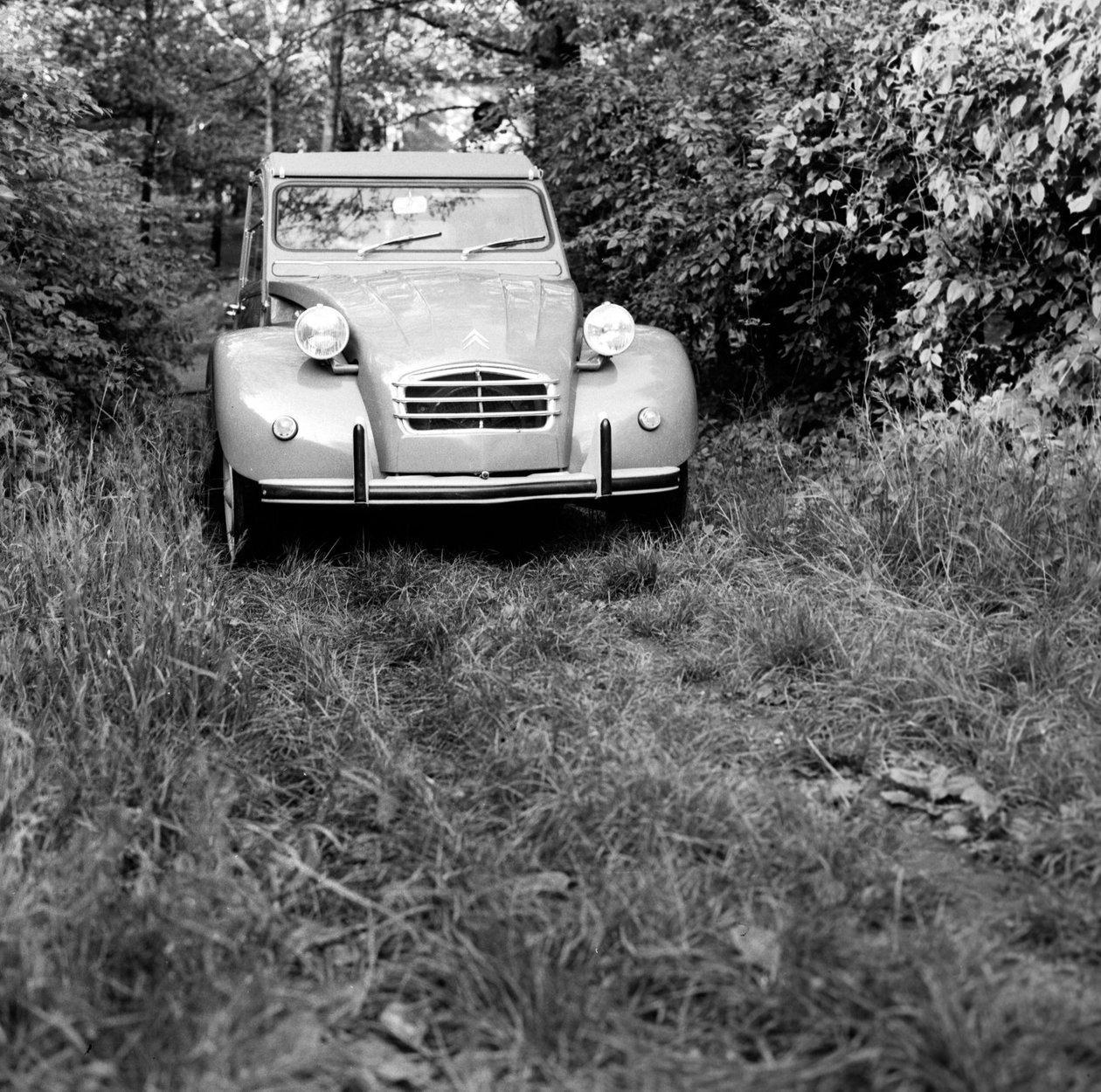 En familie, der rejser i deres Citroen 2CV, Monza af Bartolome Esteban and studio Murillo