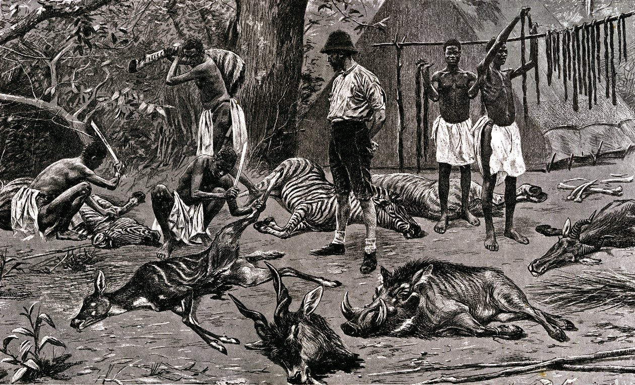 En fantastisk jagtdag! 1900 (gravering) af Unbekannter Künstler