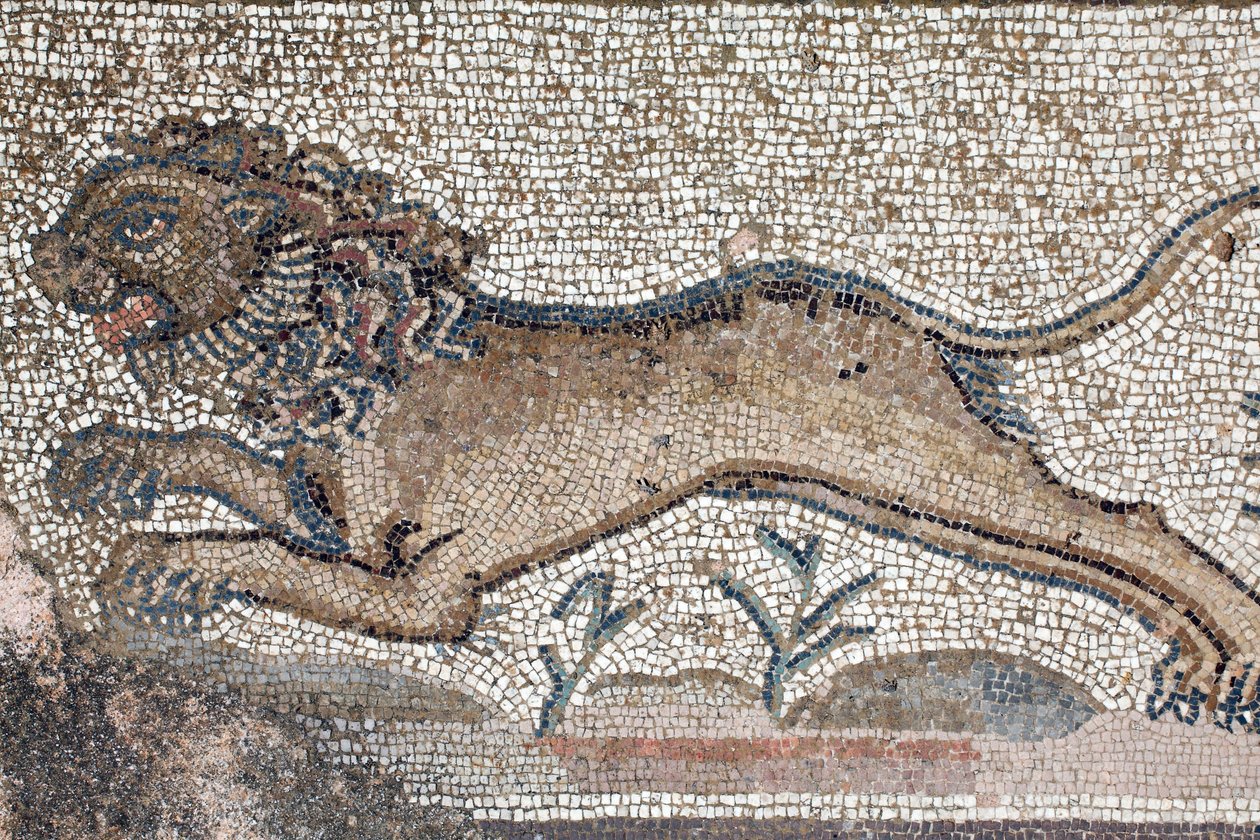En løve - Detalje fra en frise, der skildrer scener fra en jagt ved siden af panelet, der repræsenterer det første bad af Achilleus - Paphos Mosaics, Villa of Theseus, 5. århundrede e.Kr. - Cypern - En løve - Detalje af en frise, der skildrer jagtscener om af William M. Timlin