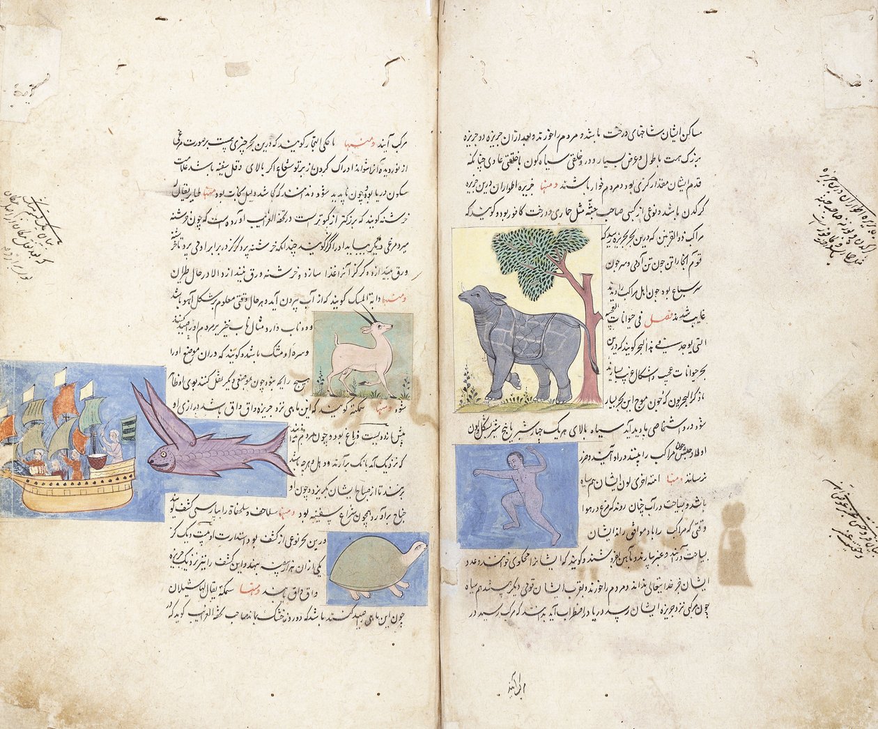 En side fra det persiske manuskript "Aja" ib al-Makhluqat wa Ghara "ib al-Maujudat af Unbekannt