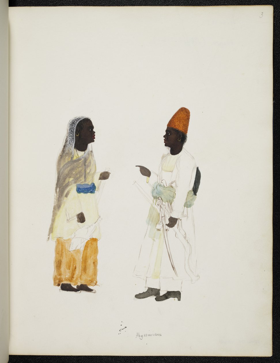 Tilføj eller 1349 Abyssinians, Company Style Album (akvarel på papir) af Unbekannter Künstler