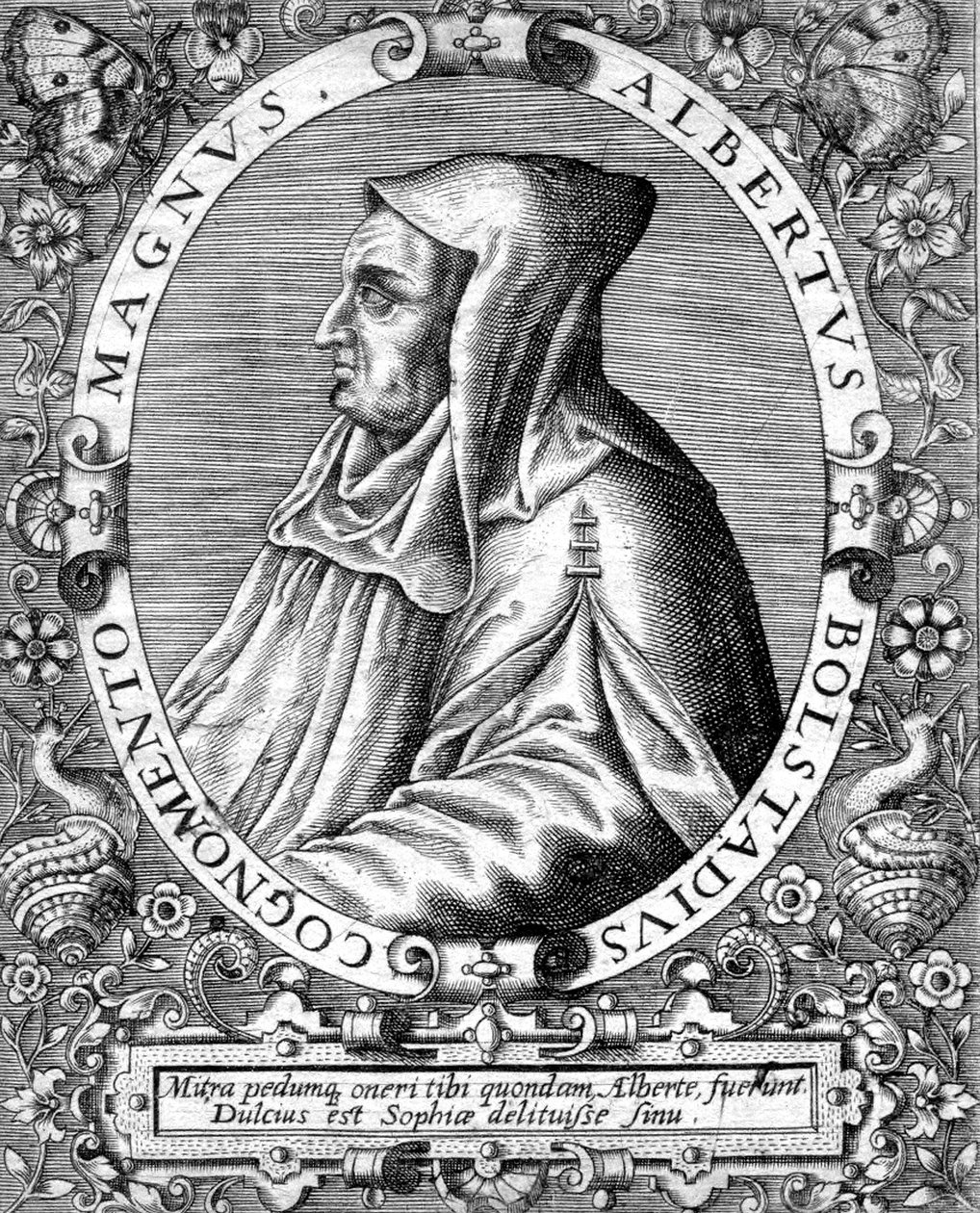 Albert Magnus (1193/1206-1280) tysk dominikanermunk , videnskabsmand, filosof og teolog, kobberstik af Unbekannter Künstler