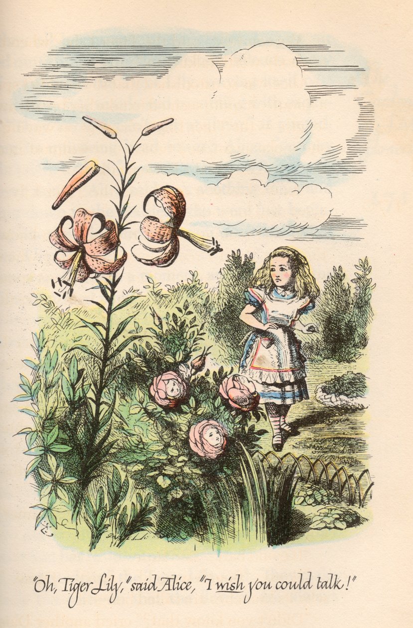 Alice in Wonderland & Through the Looking Glass, af Lewis Carroll, Illustreret af John Tenniel af Unbekannt