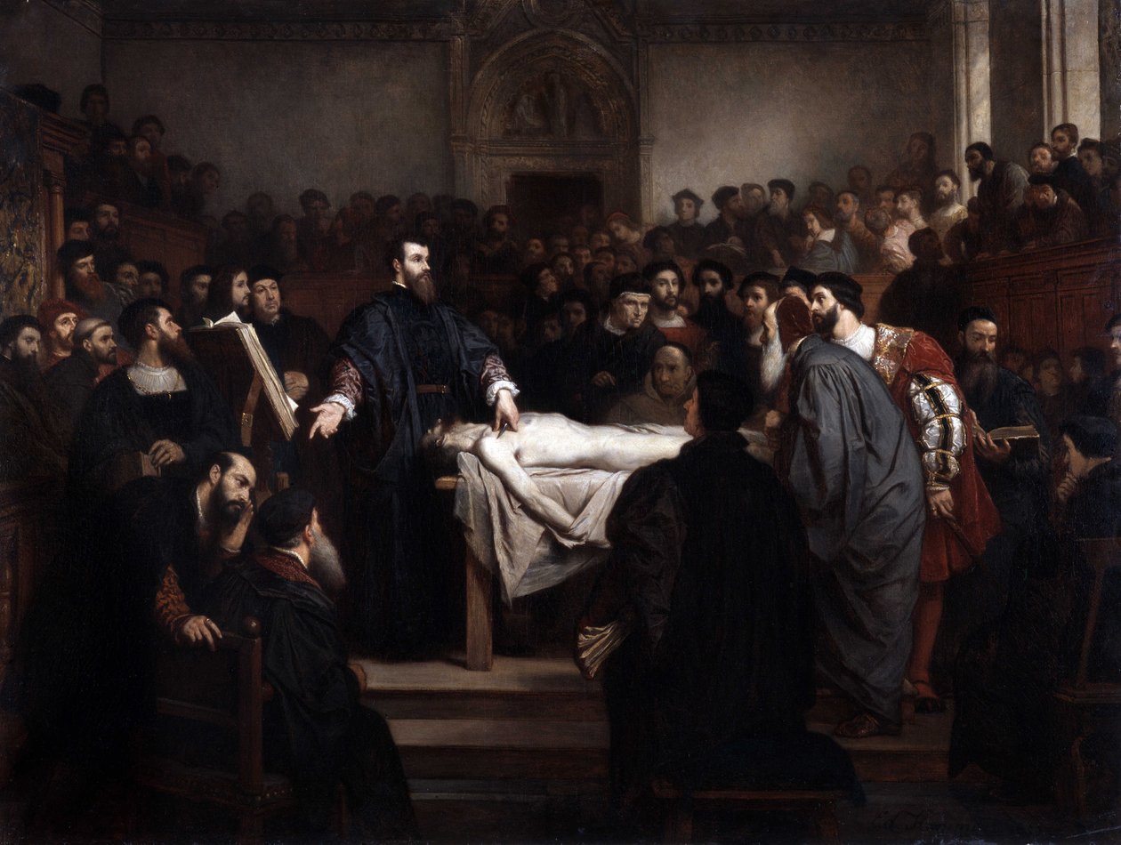 Anatomi lecon. Andre Vesale (1514-1564), flamsk anatom (Andrea Vesalius eller Andries Van Wesel) i Padua (Padova), Italien af Unbekannter Künstler