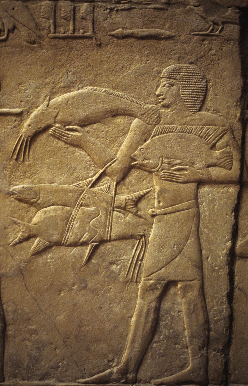 Det gamle Egypten: Saqqarah (eller Saqqara eller Sakkarah): Det gamle imperiums nekropolis, adeliges grav.. Detalje af relieffer, der repræsenterer en fisker. af Leopold Blonder