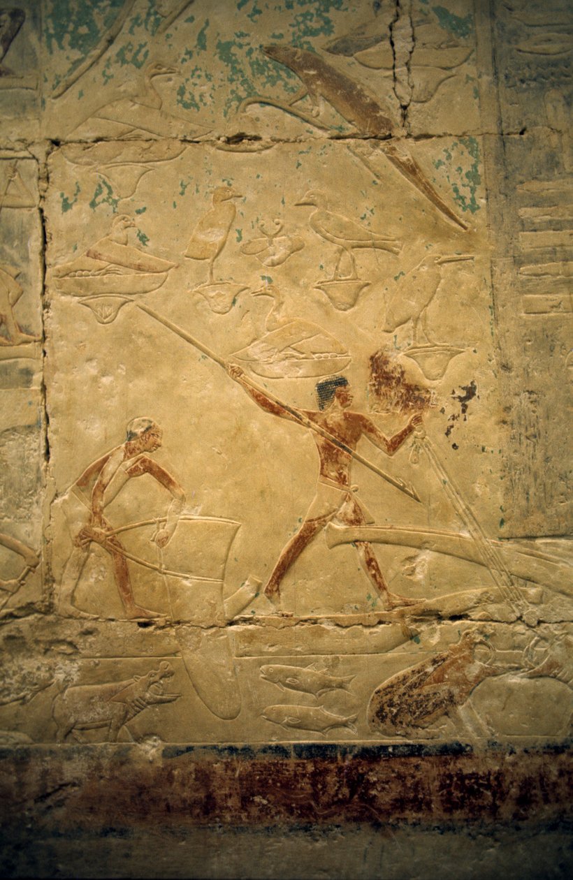 Det gamle Egypten: Saqqarah (eller Saqqara eller Sakkarah): det gamle imperiums nekropolis, adeliges grav. Detalje af reliefferne, der viser en fiskescene. af Leopold Blonder