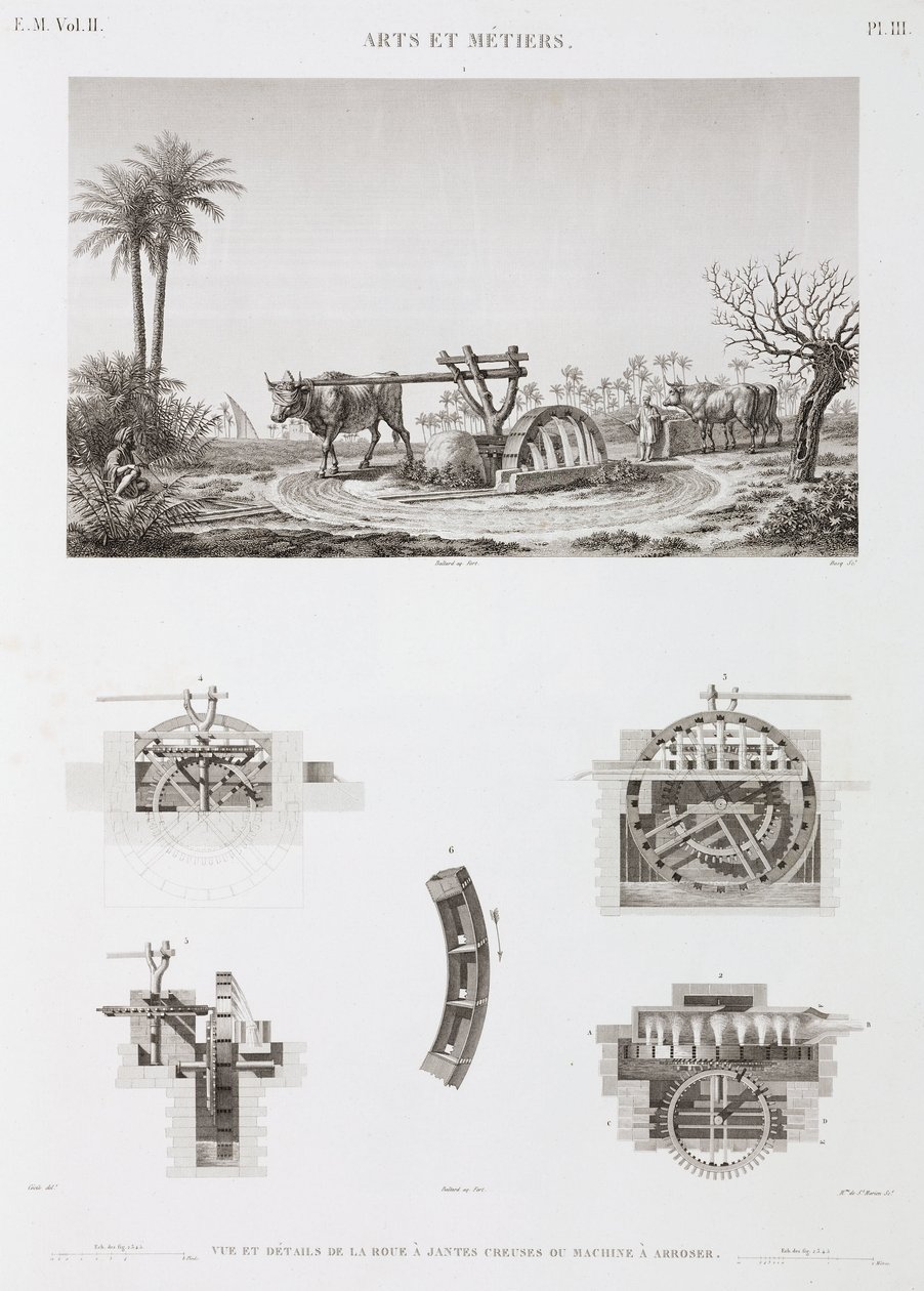 Animal Power Dyredrevet kunstvanding, Egypten, c 1798 af Unbekannt