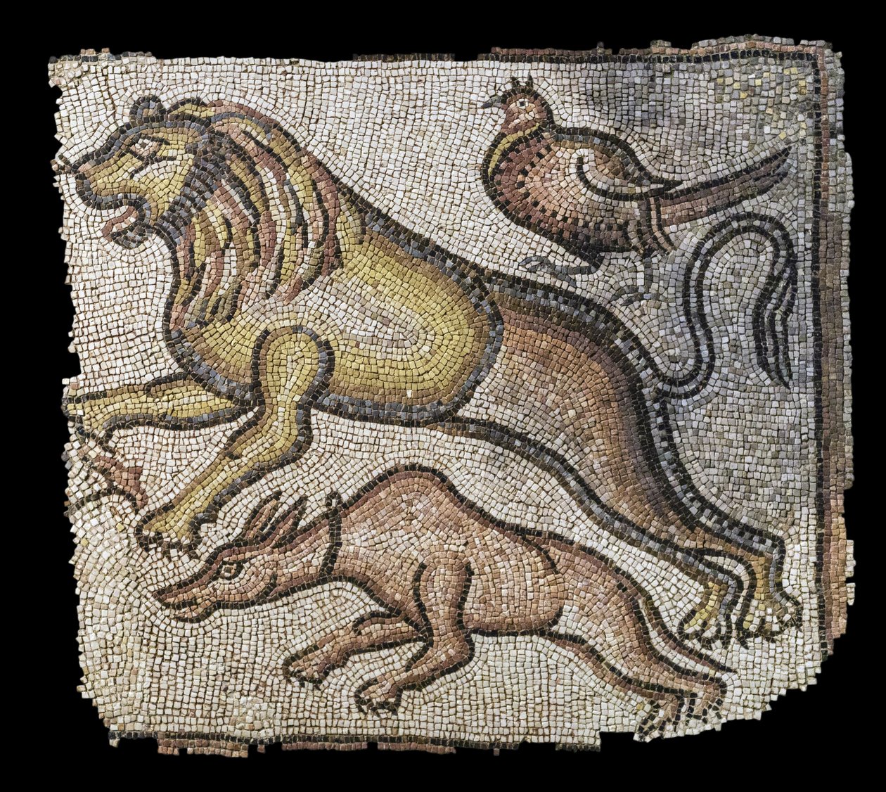 Dyr. Østlige Middelhav, slutningen af det 5.-6. århundrede. Terninger af marmor og kalksten. Musée du Louvre af William M. Timlin