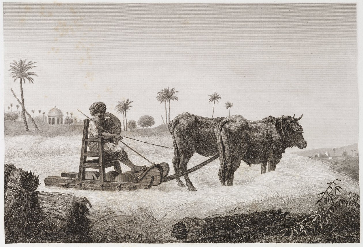 Agerbrug, høsttærskemaskine, Egypten, c 1798 af Unbekannt