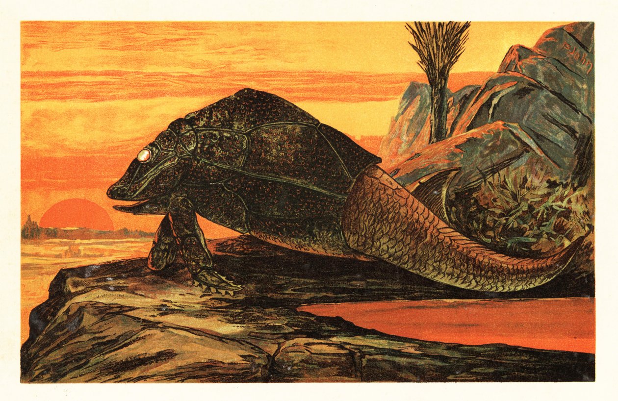 Asterolepis cornutus, uddøde arter af panserbelagte fisk.1908 (litografi) af Unbekannter Künstler