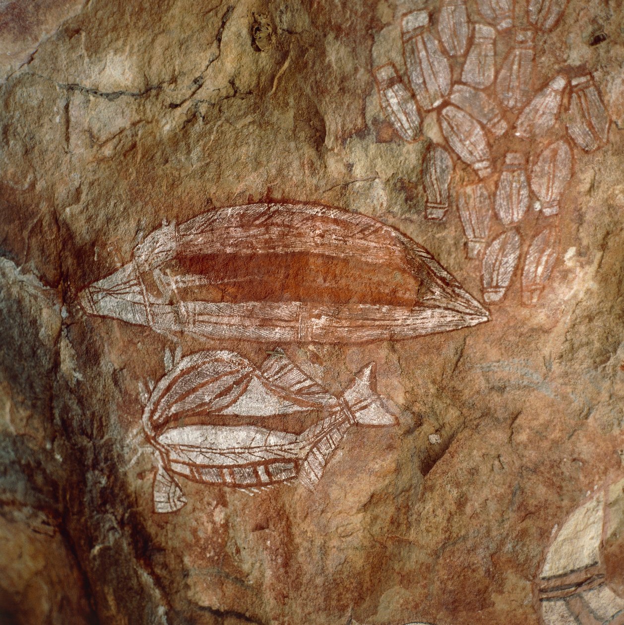 Australien, Northern Territory, Arnhem Land, Kakadu National Park, Nourlangie Rock, Aboriginal klippemalerier af Benjamin Baud