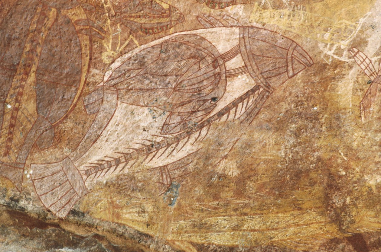Australien, Northern Territory, Arnhem Land, Kakadu National Park, Obiri Rock, Aboriginal klippemalerier af Benjamin Baud