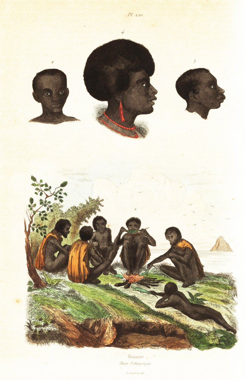 Australske aboriginer og overhoveder for indfødte fra Waigeo, Vestpapua1834-1839 (gravering) af Unbekannter Künstler