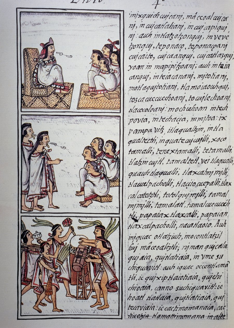 Aztec Society, Bog IV af Florentine Codex, Tosproget version på spansk og Nahuatl, Generel historie om tingene i New Spain, Aztec civilisation af Benjamin Baud