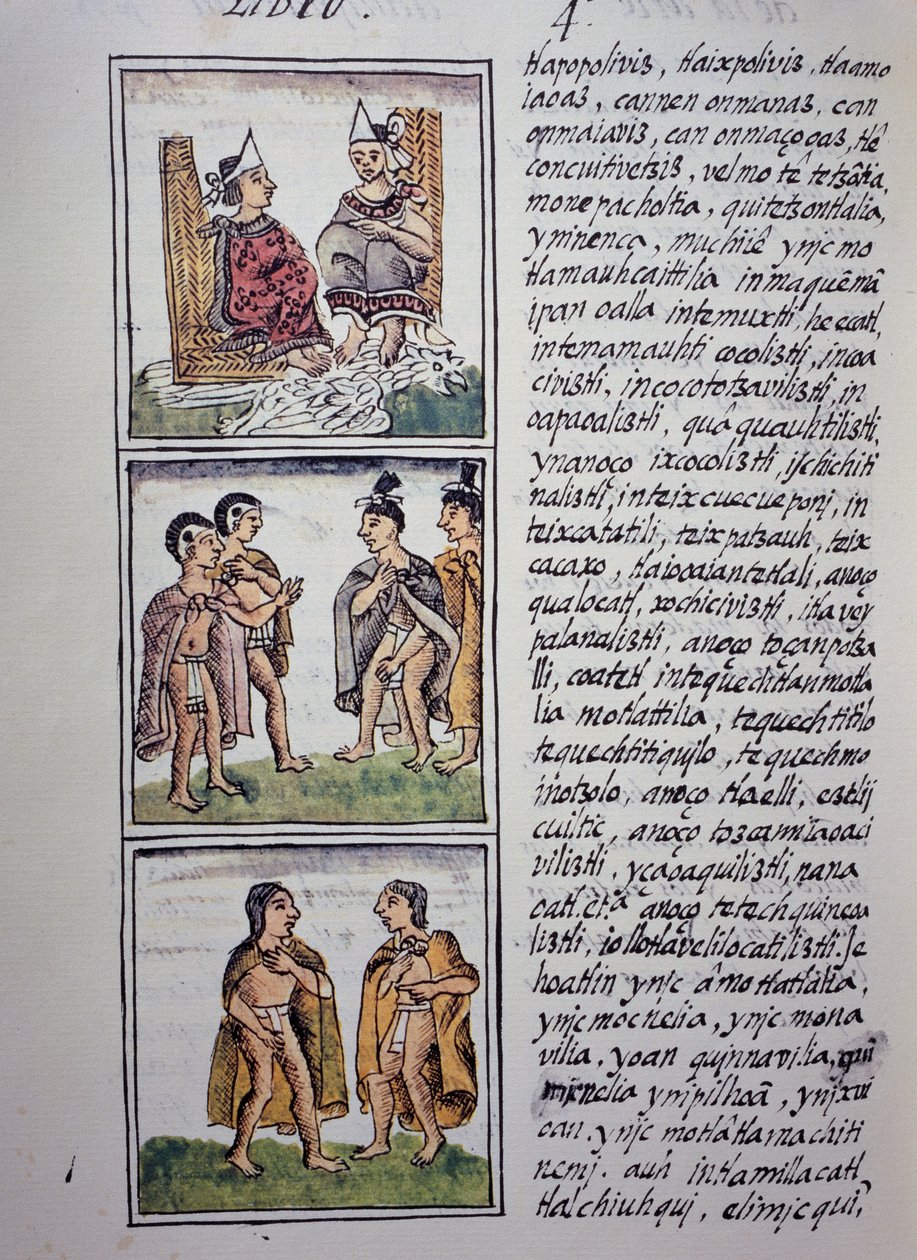 Aztec Society, Bog IV af Florentine Codex, Tosproget version på spansk og Nahuatl, Generel historie om tingene i New Spain, Aztec civilisation af William M. Timlin
