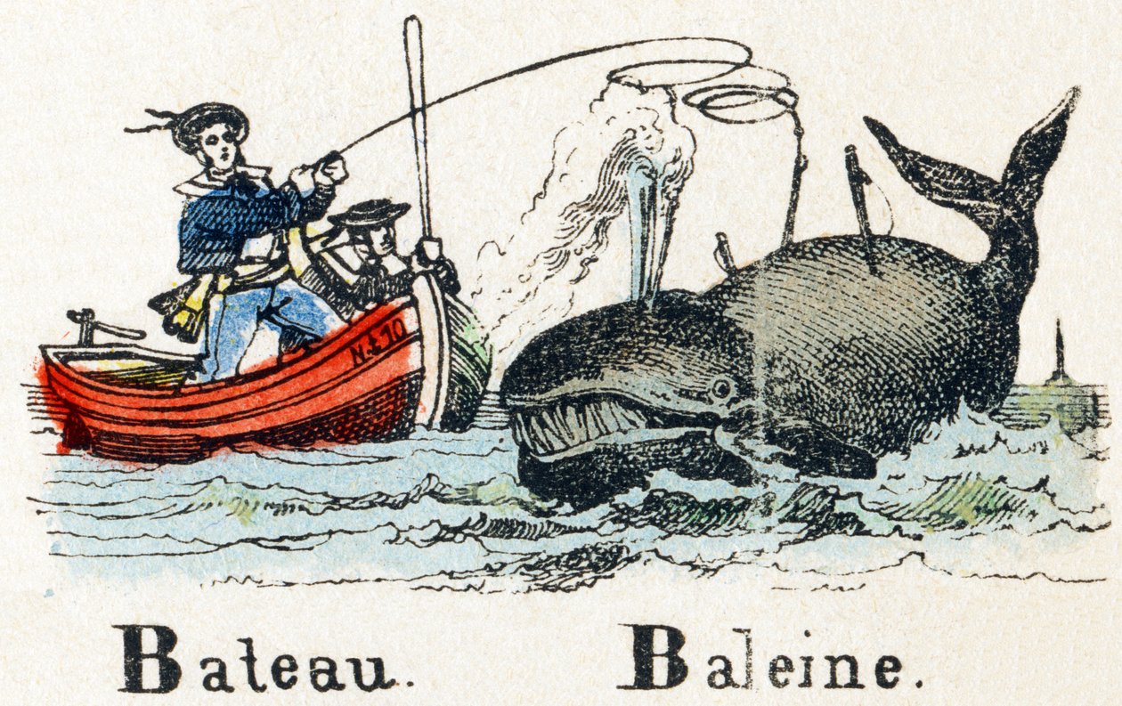B - Hvalbåd - Alfabet - børneunderholdning - Billedepinal, populær serie c.1890 (illustration) af Unbekannt