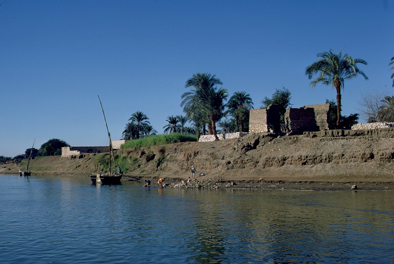Bank of the Nile (foto) af Unbekannt