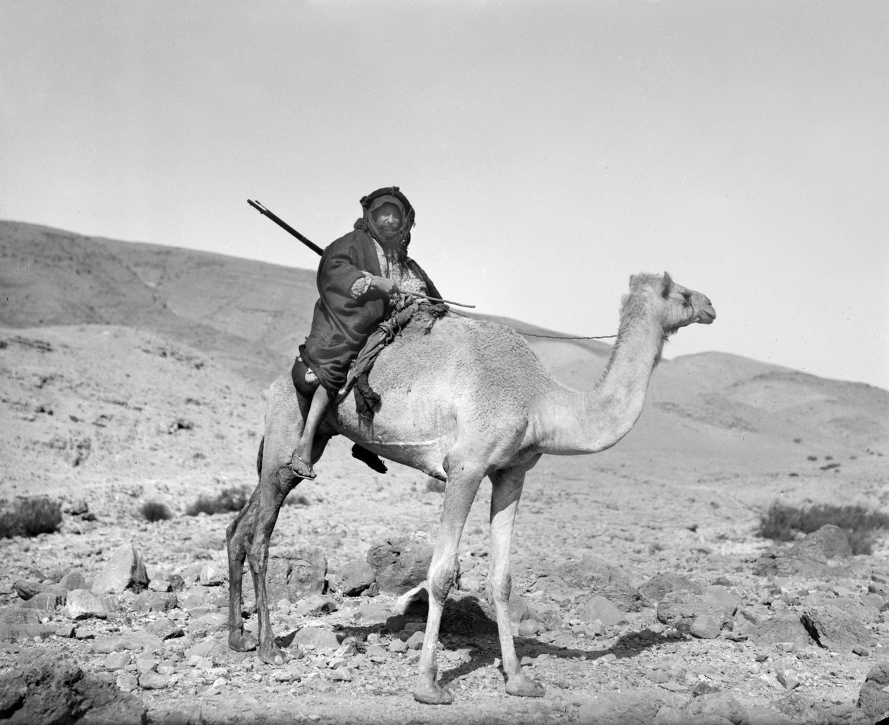 Beduin rider på en kamel, ca. 1936 (s/h-foto) af Unbekannt