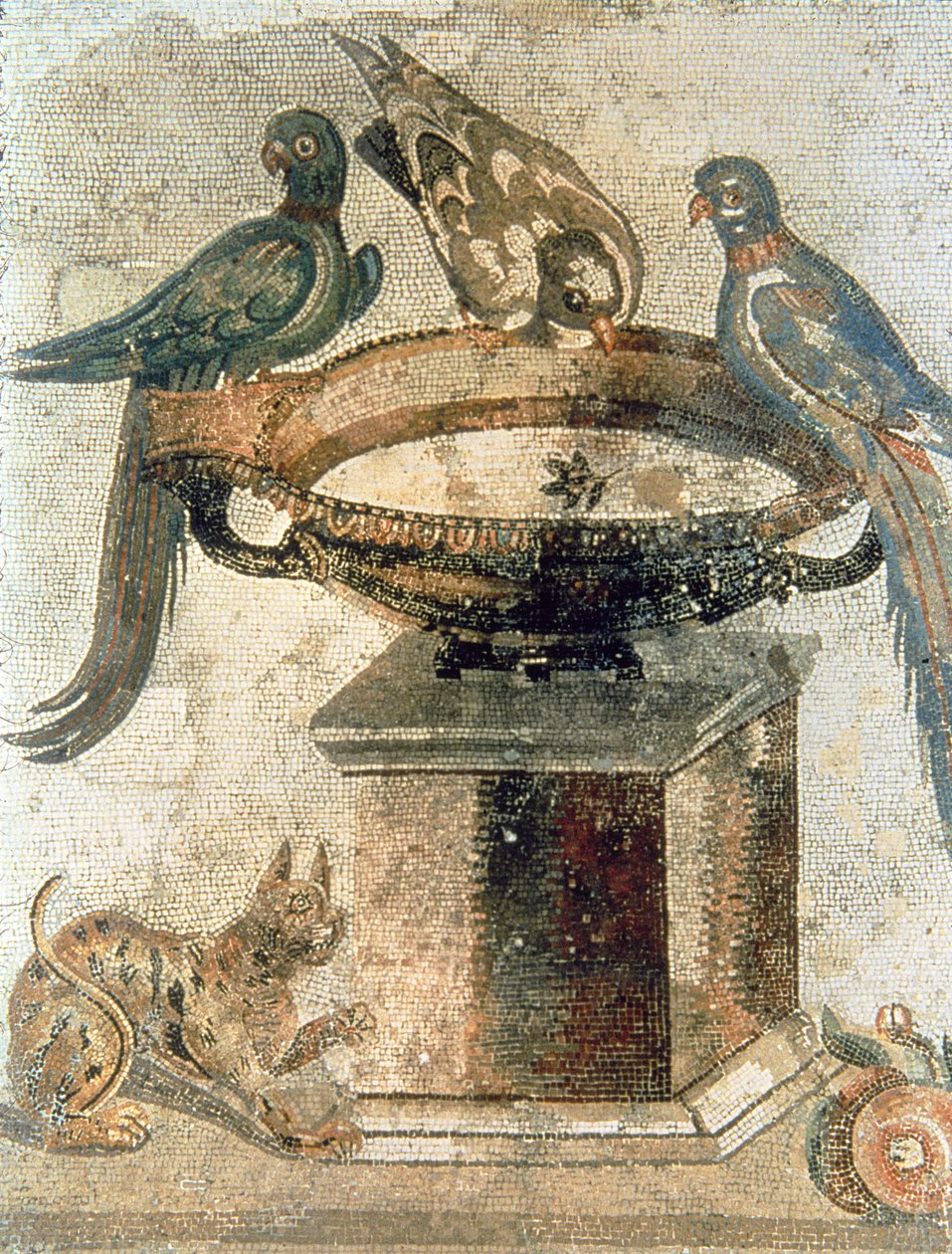 Fugle og en bagholdskat, fra Pompeji af Unbekannter Künstler