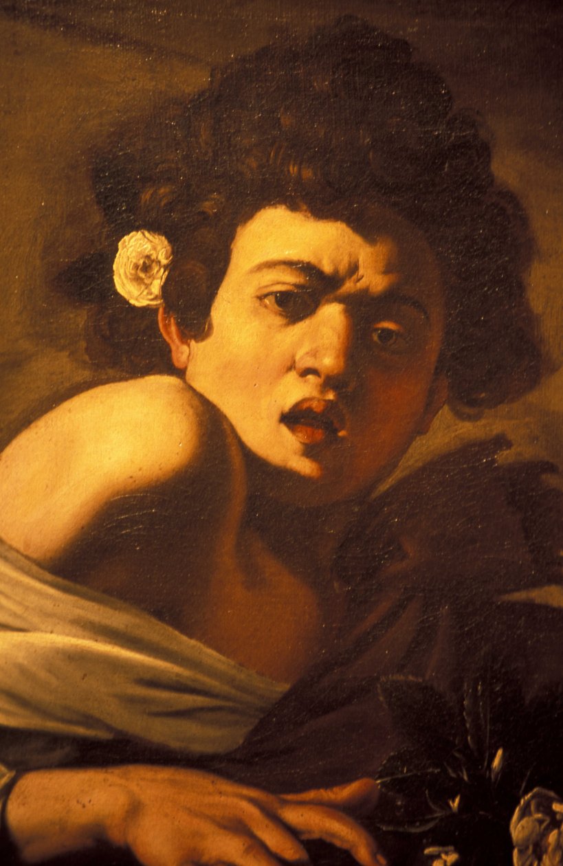 Dreng bidt af et firben (detalje), Caravaggio kunstværk, Palazzo Ducale, Genova, Ligurien, Italien af Unbekannt