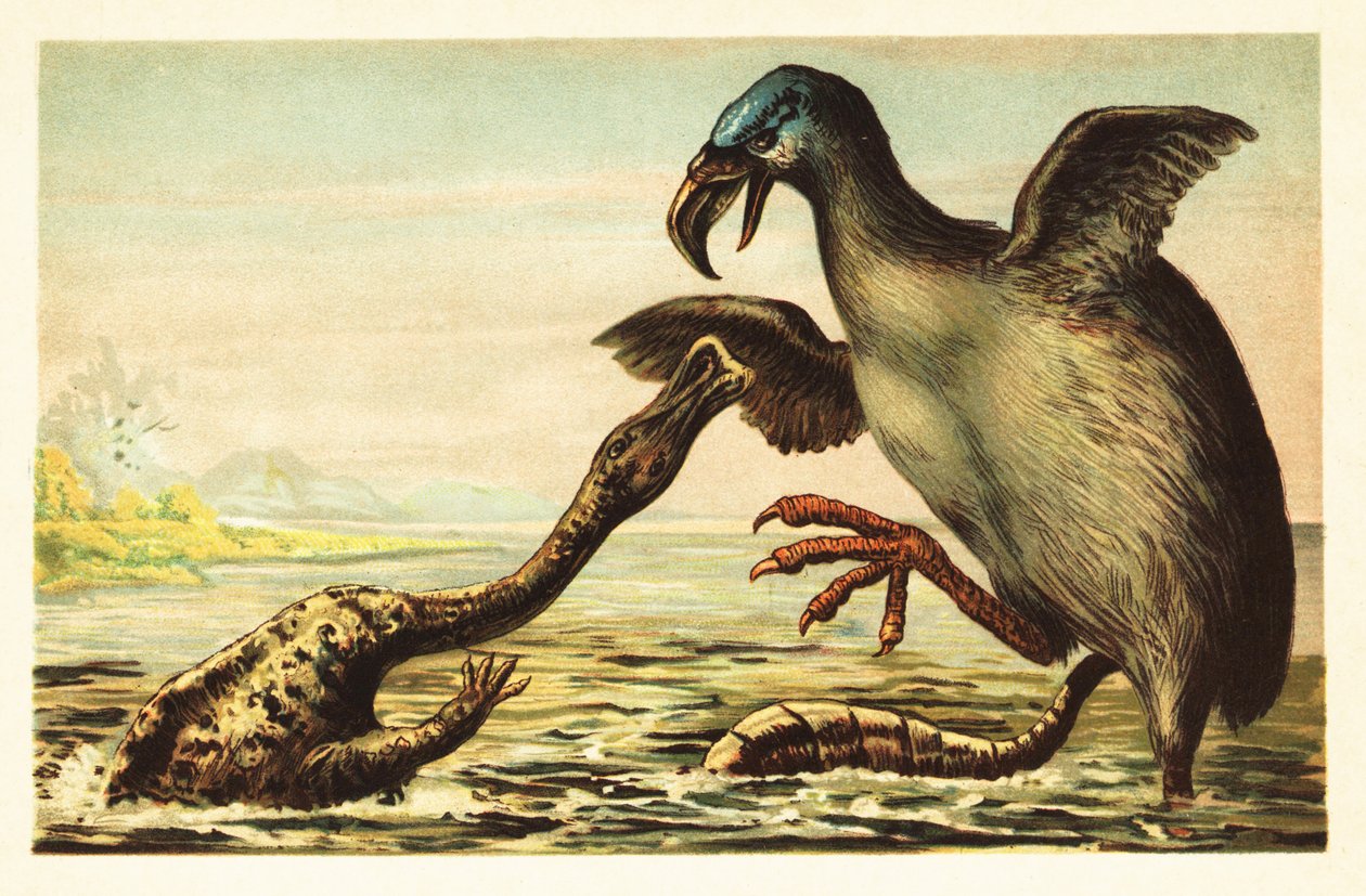 Brontornis kæmper mod en Hadrosaurus. 1908 (litografi) af Unbekannter Künstler
