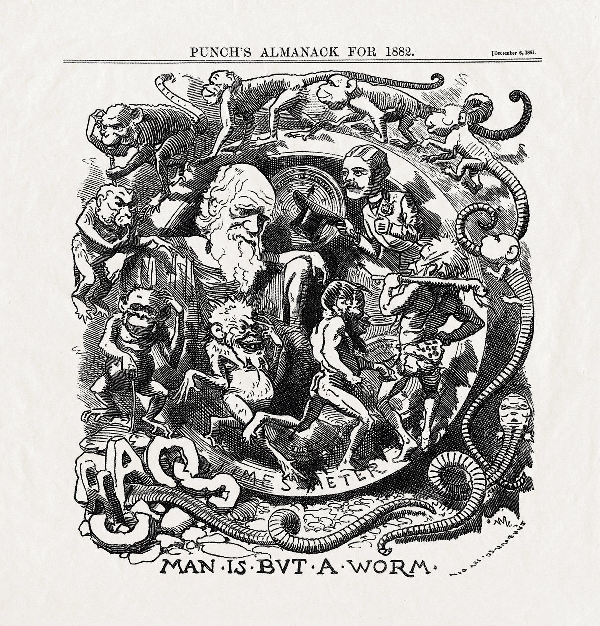 Tegneserie om evolutionsteorien af Charles Darwin (1809-1882): "Man is but a worm" (Mennesket er kun en orm) fra "Punch" 06/12/1881 af Unbekannter Künstler