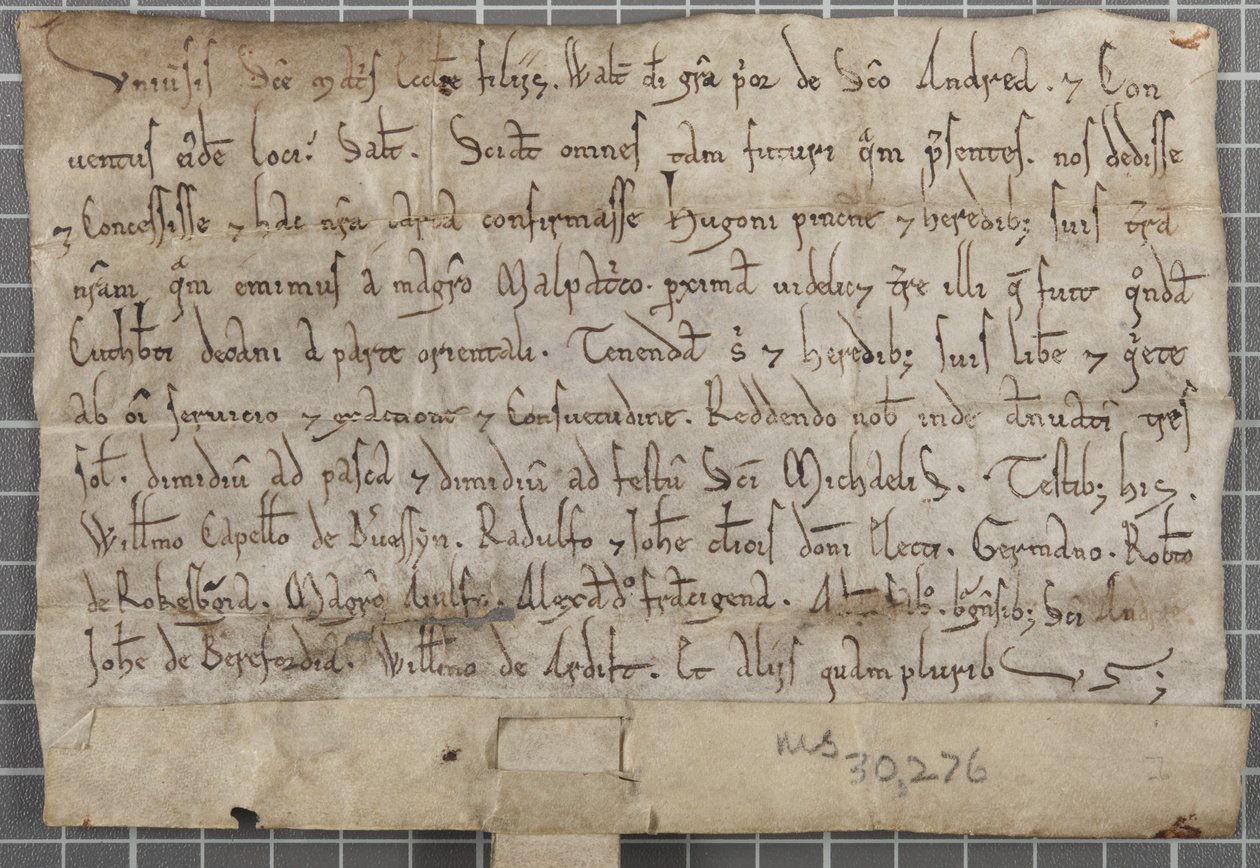 Charter af Walter, Prior af St. Andrews af Unbekannt