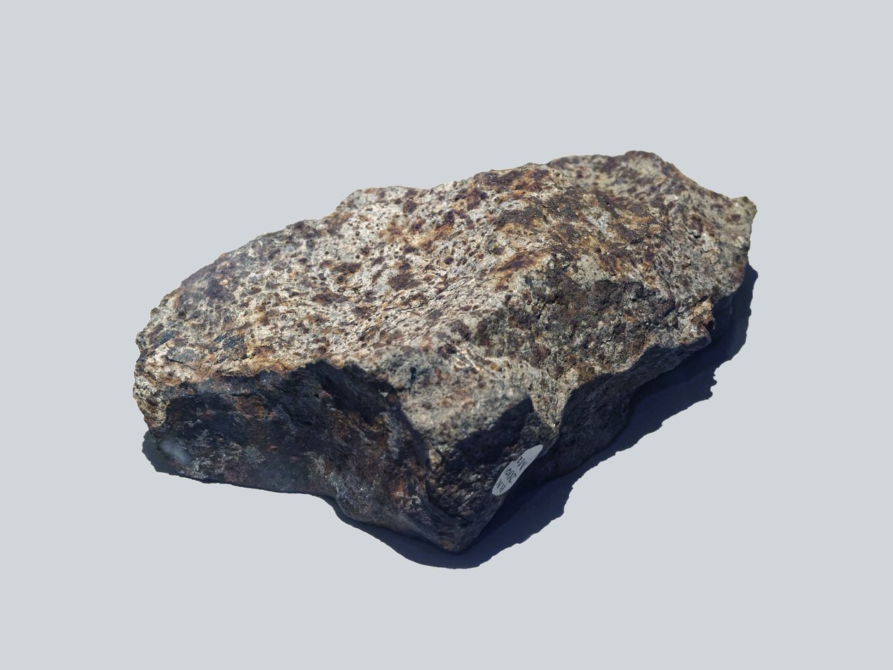 Chondrite Almindelig (L5). Tombe en Valera (Venezuela) i 1972. Natural History Museum, London. af Unbekannt