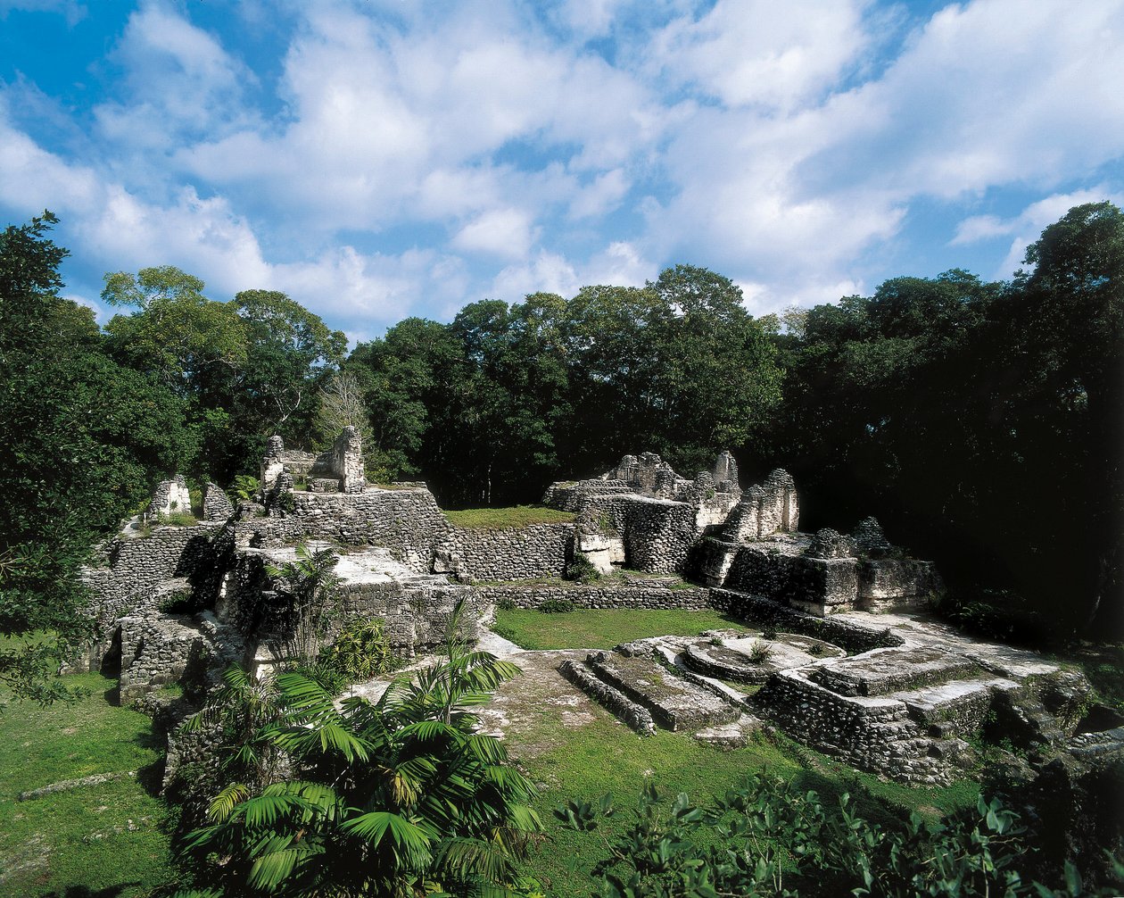 Præcolumbiansk civilisation: udsigt over Maya-stedet Uaxactun (Gruppe A). Petén, Guatemala. af 