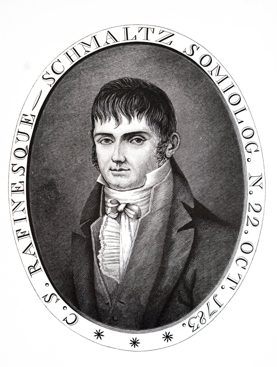 Constantine Samuel Rafinesque. af Unbekannt