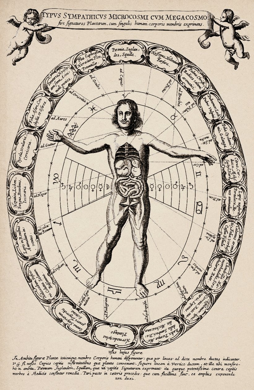Korrespondance mellem mikrokosmos og makrokosmos. Planche taget fra "Mundus subterraneus" af Athanase Kircher (1601-1680) af Unbekannter Künstler