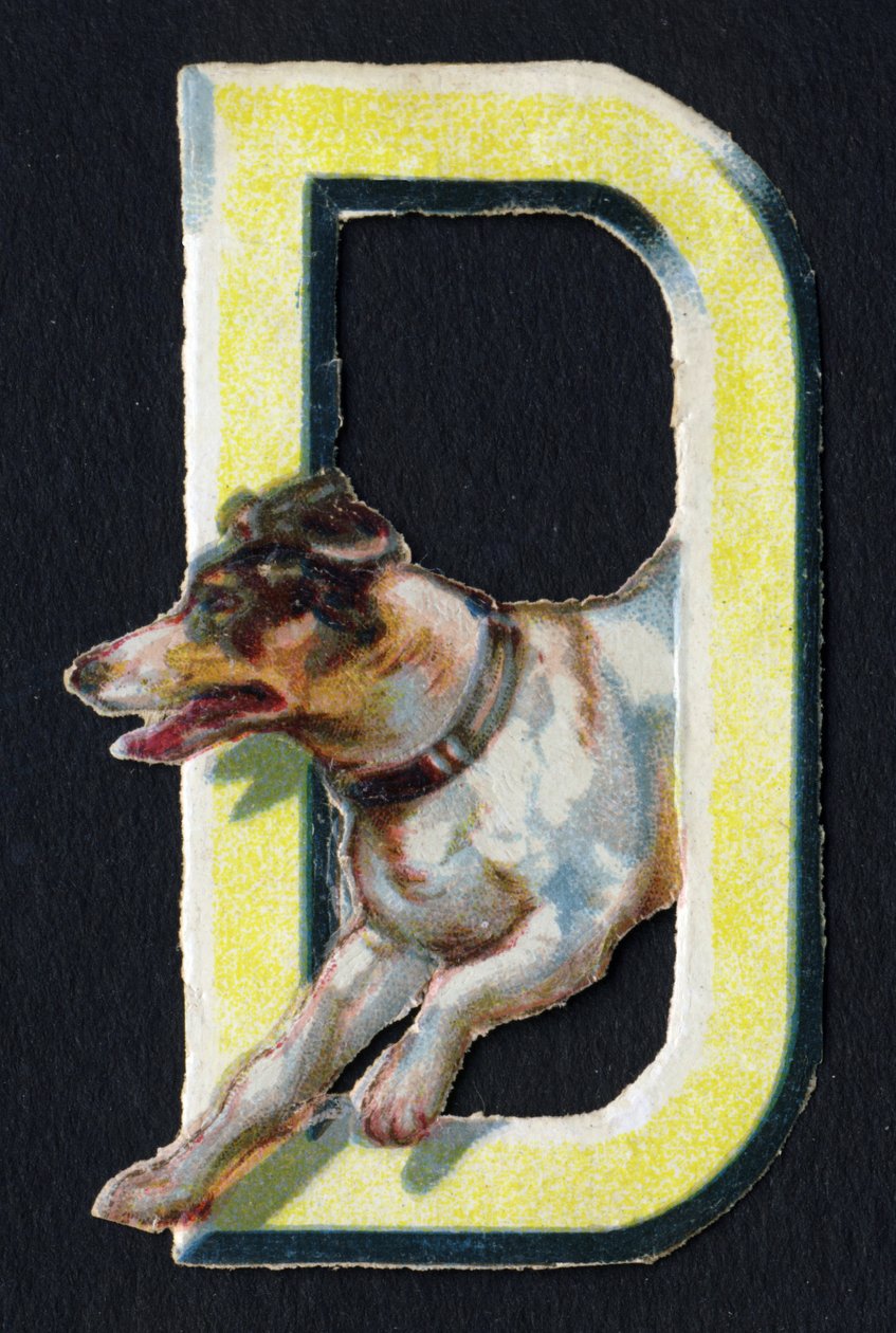 D kan lide hund. Beetle decoupis med temaet dyr. Gravering. Serie af 26 vaffelkromolitografier af engelsk oprindelse. Redaktør og illustrator ukendt. Slutningen af det 19. århundrede. Mål: 5,5 x 3,5 cm af Unbekannt