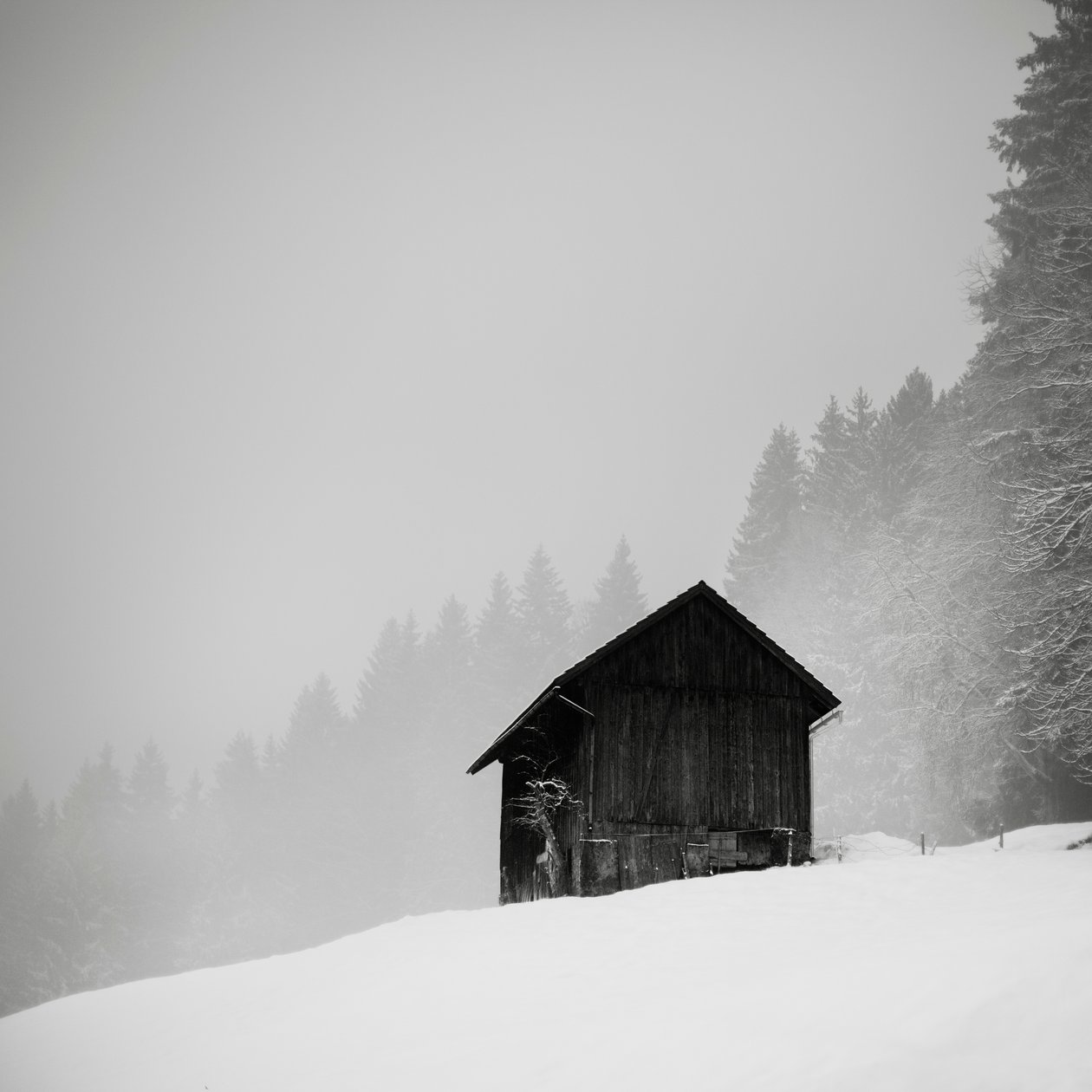 Rydningens hemmelighed, Oberstaufen, Tyskland, 2013 (s/h-billede) af Leopold Blonder