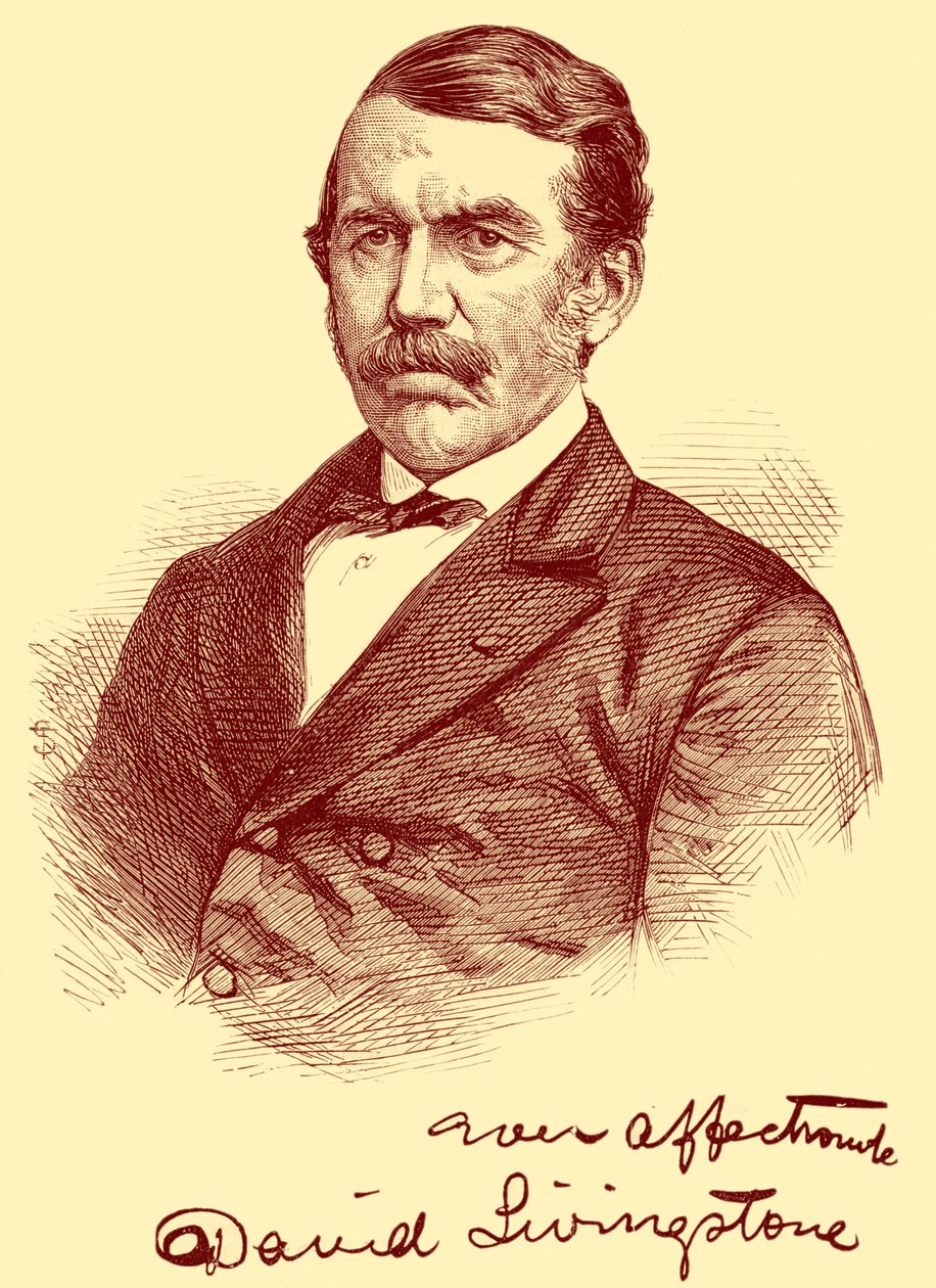 David Livingstone af Unbekannter Künstler
