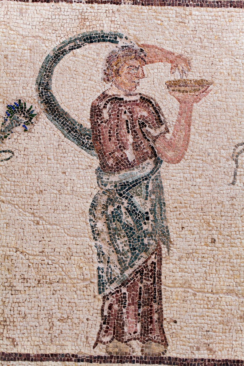 Detalje af The Triumph of Dionysos - Gudens tilbagevenden fra en militær ekspedition til Indien - En Baccante med en drikofferskål - Paphos mosaikker, House of Dionysos, Slutningen af det 2. århundrede e.Kr. - Cypern - Dionysos triumf - Lang mosaik, der gå af William M. Timlin
