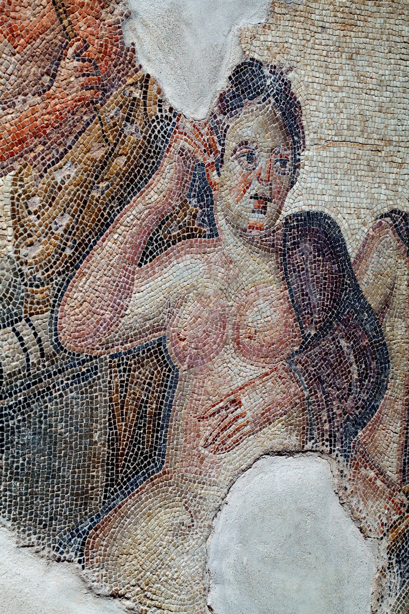 Detalje af panelet, der viser Leda, dronning af Sparta, i selskab med de lakedaemoniske piger, der er ved at tage et bad i Eurotas-floden - Hun bliver kontaktet af Zeus forklædt som en svane - Paphos Mosaics, House of Aion, 3. århundrede e.Kr - Cypern - D af Unbekannter Künstler