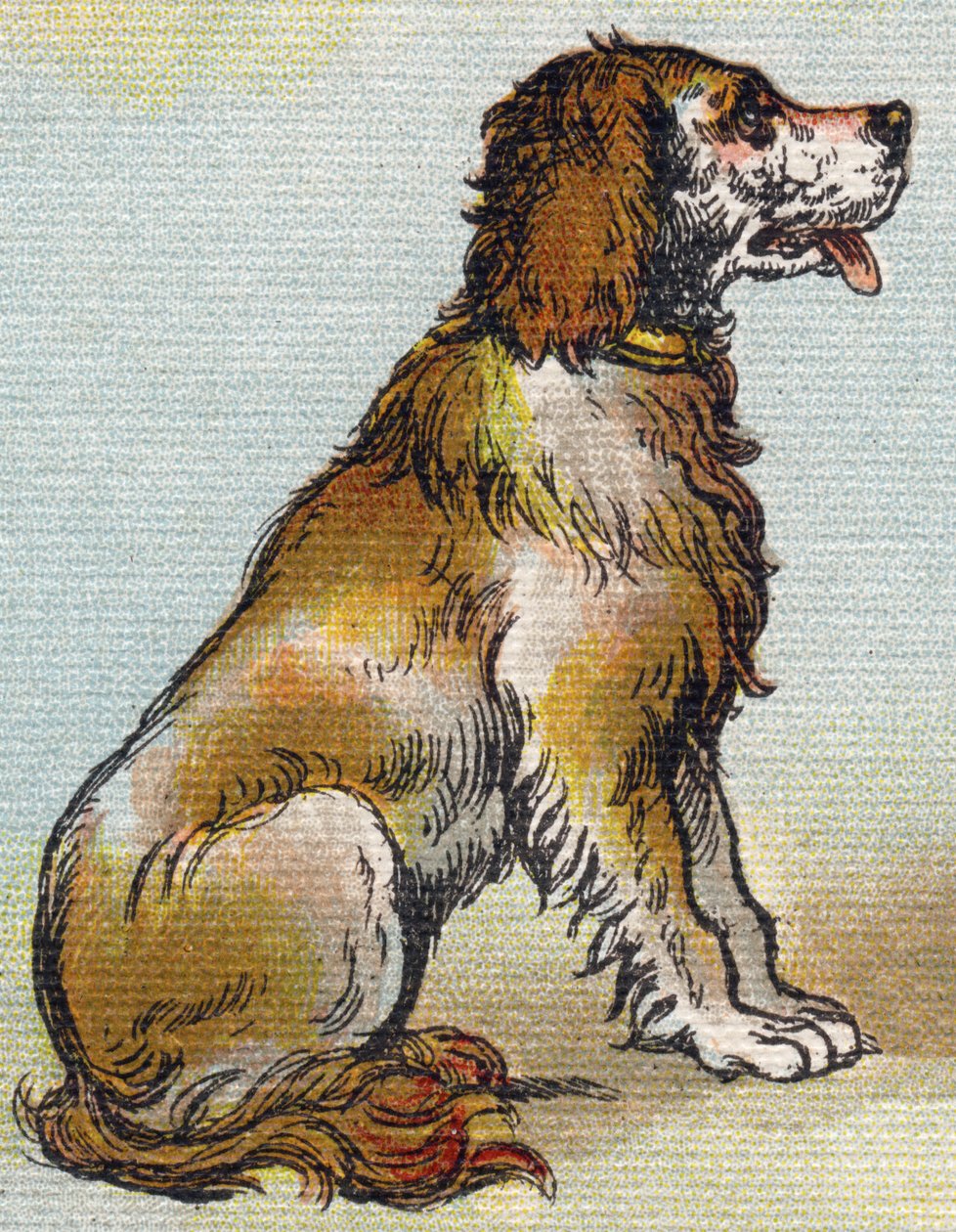 Hund. Indgravering i "Alphabet de ma petite fille". Bernardin-Bechet og Fils, boghandler-forlag, Paris, omkring 1895. Ubrydeligt album på lærred. Bibliotheque des Bebes. 12 sider. Album indeholdende en læsemetode og et illustrativt abecedarium. Dimension:  af Unbekannt
