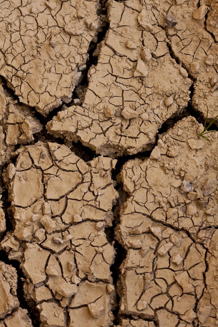 Dry II (fotografi) af Unbekannter Künstler