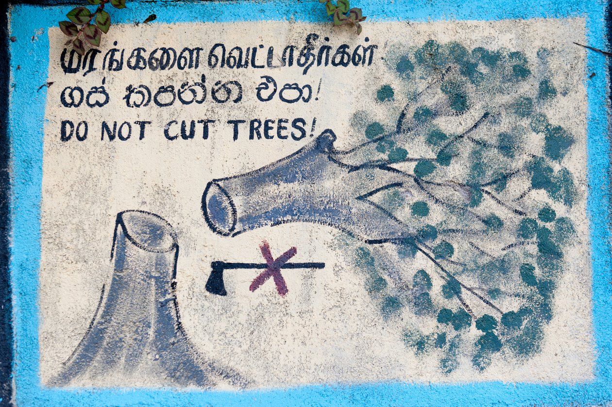 Miljøbeskyttelse; malet tegn; """ Skær ikke træer""""" der viser et fældet træ og en overstreget økse; Nuwara Eliya; Sri Lanka; Asien af Unbekannt