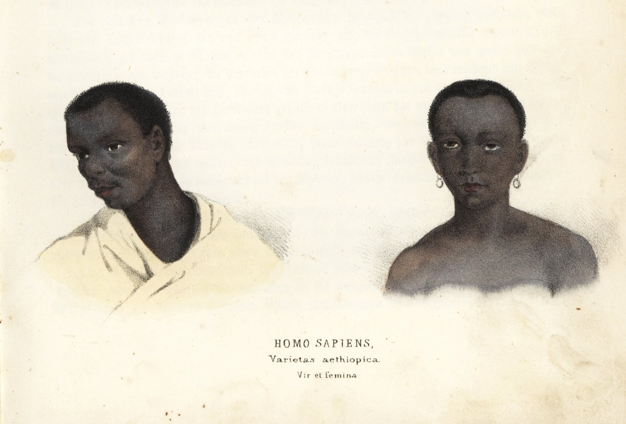 Etiopisk mand og kvinde. Håndkoloreret stålstik fra Georg Friedrich Treitschkes naturhistoriske galleri, Naturhistorischer Bildersaal des Thierreiches, Liepzig-1842. af Unbekannter Künstler