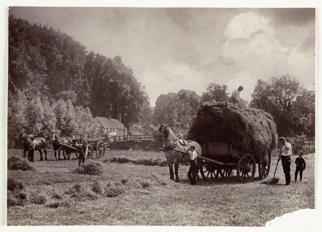 Landbrugsscener, høst og opbevaring, høproduktion før 1900, ca. 1890 af Unbekannt
