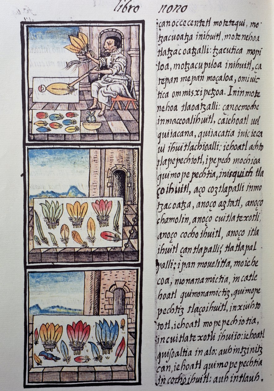Fjerbearbejdning efter den spanske erobring, side fra Florentine Codex, tosproget version på spansk og Nahuatl, General History of Things of New Spain, af den spanske missionær Fray Bernardino de Sahagun. Aztekisk civilisation af William M. Timlin