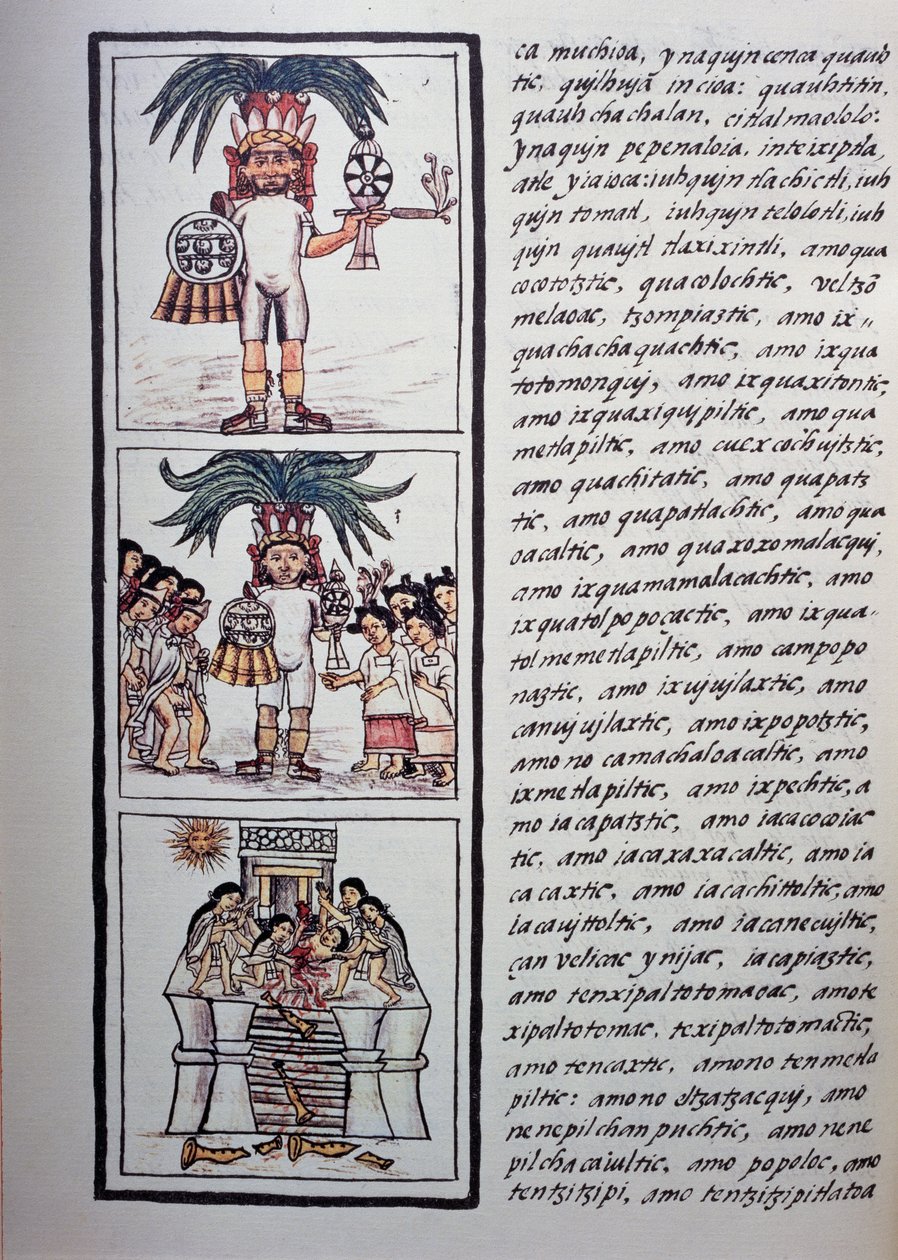 Festival of Toxcatl og hans offer, Bog II af Florentine Codex, Tosproget version på spansk og Nahuatl, General History of Things of New Spain (Historia general de las cosas de Nueva Espana), Aztec civilisation af Benjamin Baud