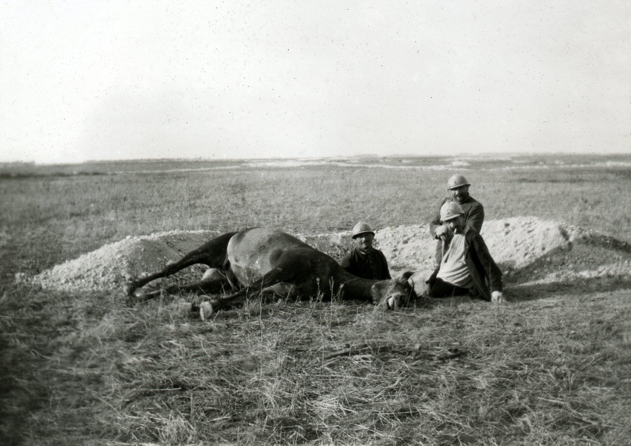Første Verdenskrig 14-18 (1914-1918): tre franske soldater begraver en død hest - fotografi på glasplade af Unbekannter Künstler